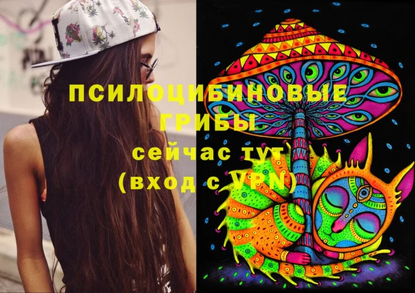 молекула духа Сатка