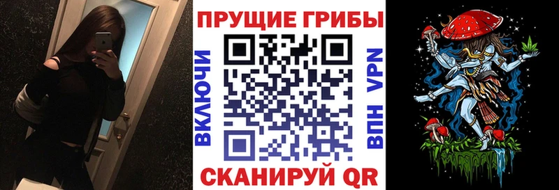 Псилоцибиновые грибы Psilocybe  купить   Тарко-Сале 